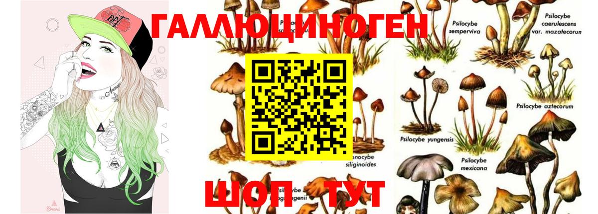 Галлюциногенные грибы GOLDEN TEACHER Полысаево