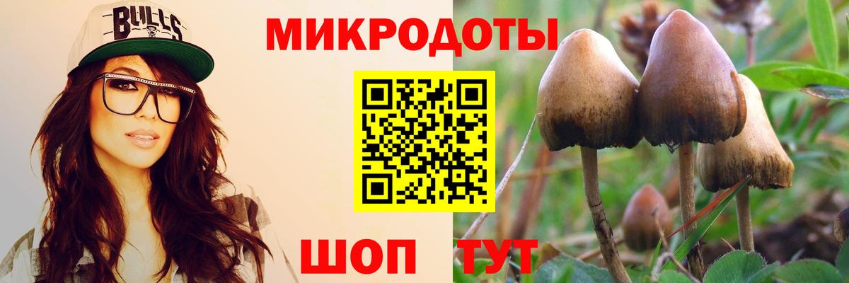 Галлюциногенные грибы Psilocybe  Вход с VPN  Полысаево 